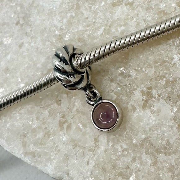 EUC Pandora 790435AM Sterling Silver Amethyst Disk Dangle Charm - Picture 3 of 13